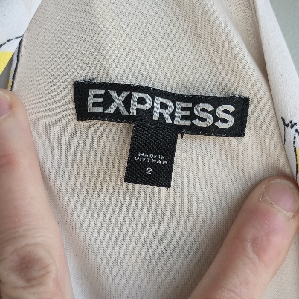 Express - Picture 3 of 8